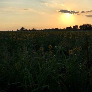 Meet your Posher, Camryn